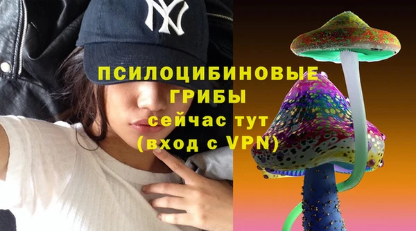 mdma Пролетарск