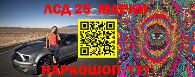 скорость Моздок