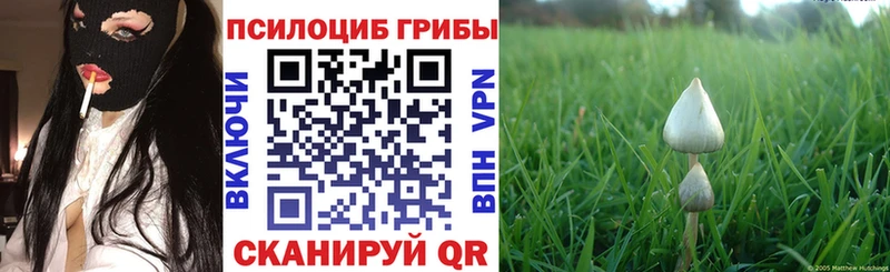 Псилоцибиновые грибы Cubensis  хочу   Советский 